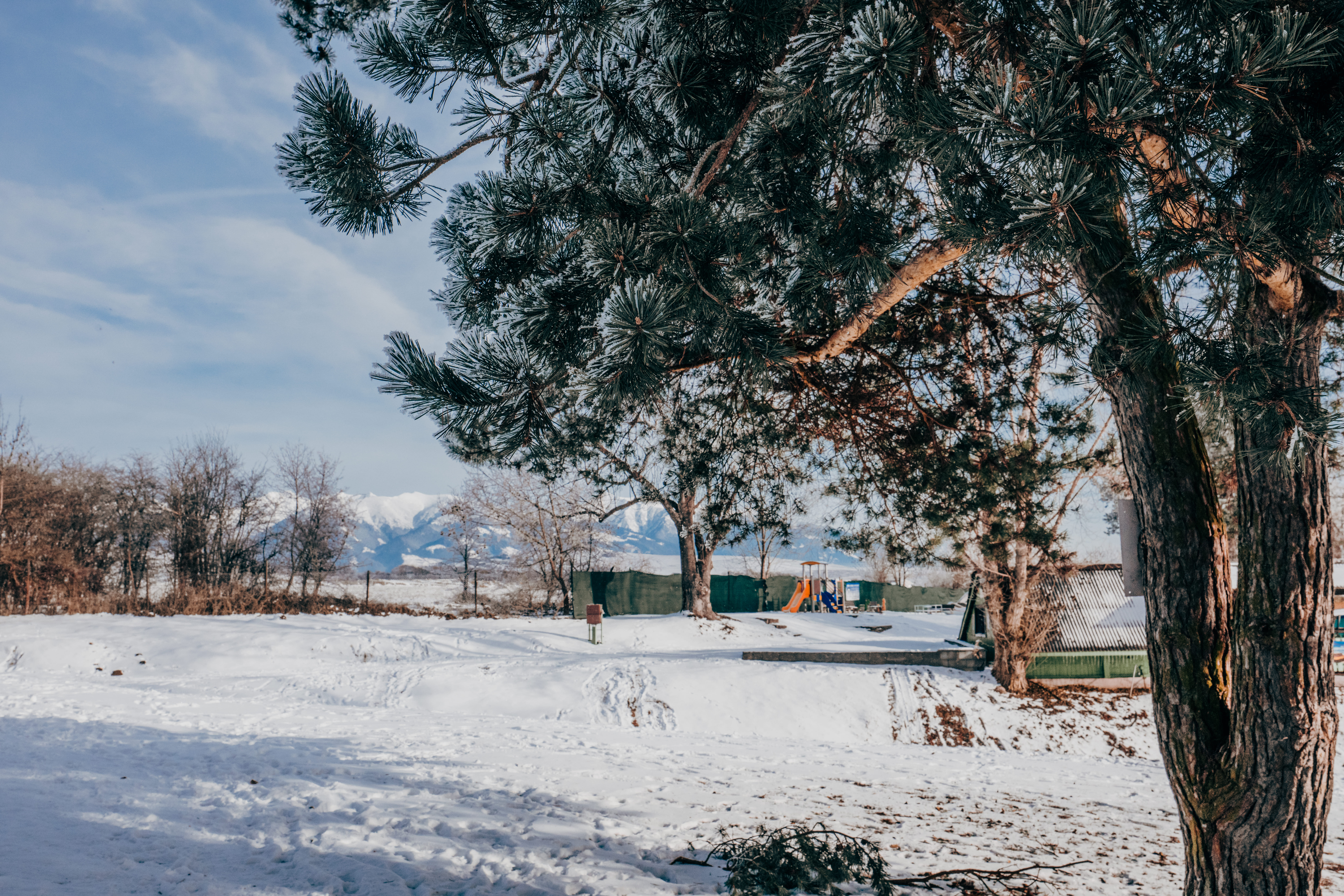 uhrinova_zimna_MARA-5900