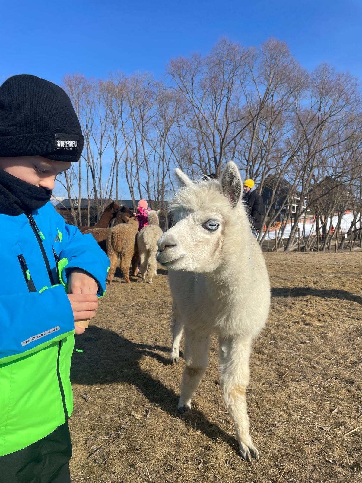 d0d4be1d-e78b-4c2d-bc19-e2f17e468606